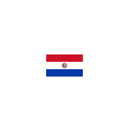 Paraguay Flagga