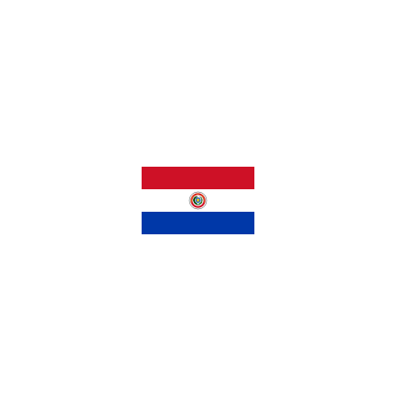Paraguay Fasadflagga 