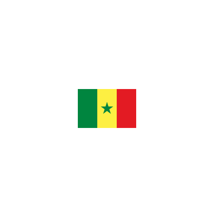 Senegal Fasadflagga 