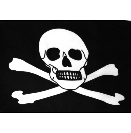 Piratflagga 150x240 cm