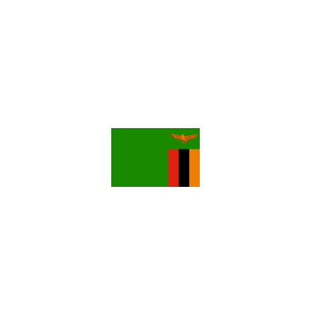 Zambia 16 cm Bordsflagga