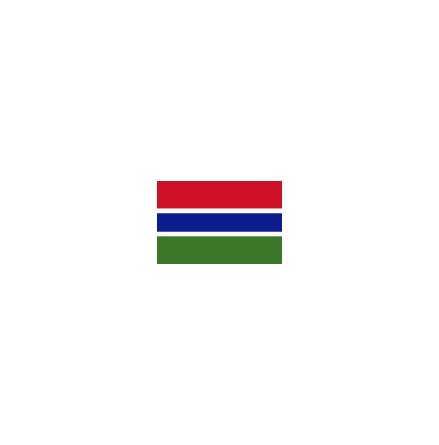 Gambia 16cm Bordsflagga