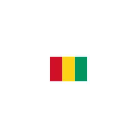 Guinea Bordsflagga