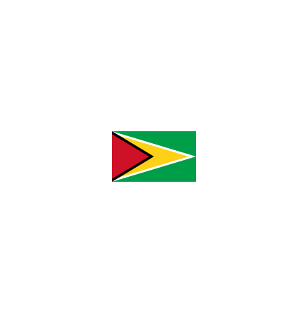 Guyana Bordsflagga 