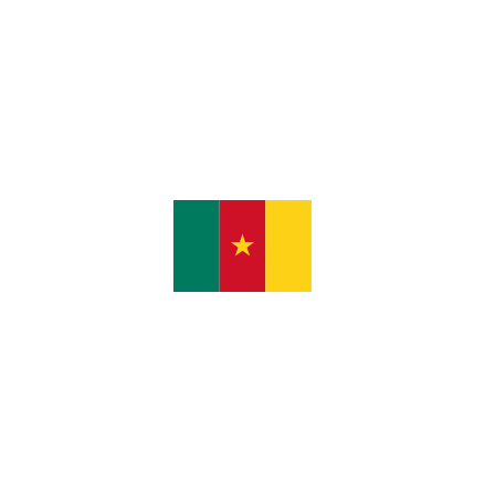 Kamerun 16 cm Bordsflagga