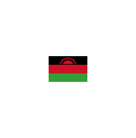 Malawi 16 cm Bordsflagga