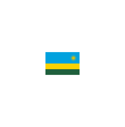 Rwanda 16cm Bordsflagga