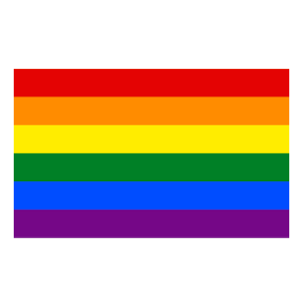 Pride 40 cm Bussflagga