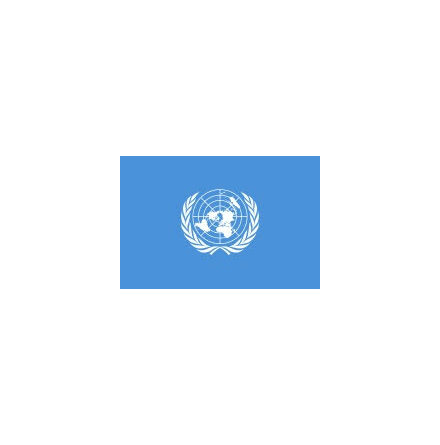 FN fasadflagga