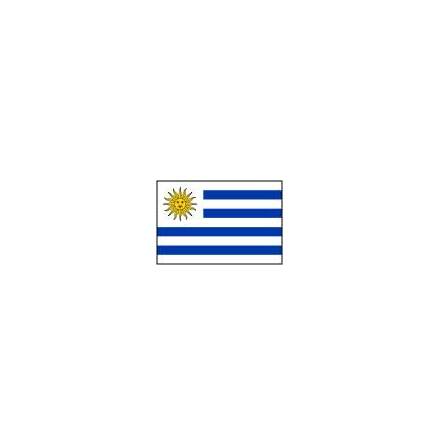 Uruguay Flagga