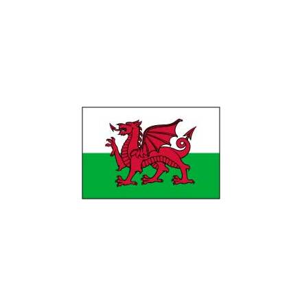 Wales Fasadflagga 