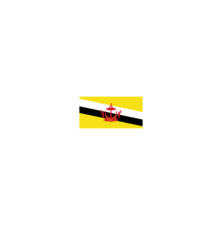 Brunei Flagga