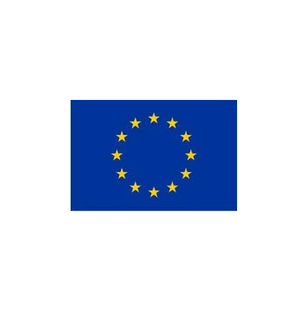 EU Bilflagga