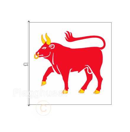 Dalsland flagga 200x200 cm