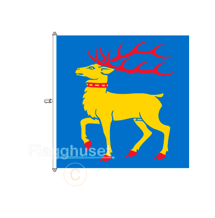 land flagga 200x200 cm