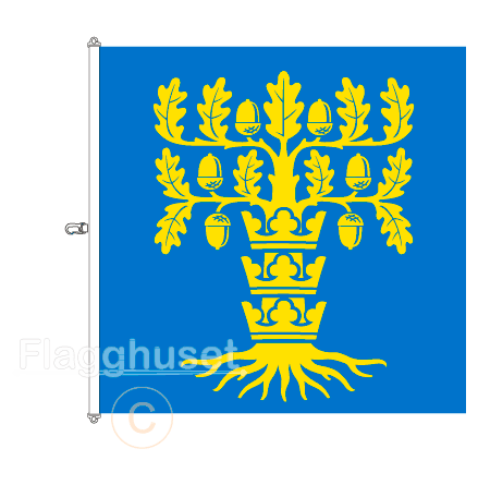 Blekinge flagga 200x200 cm