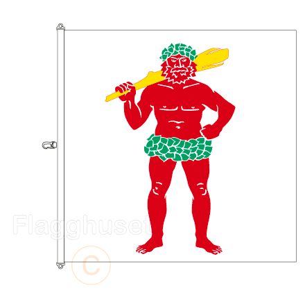 Lappland flagga 200x200 cm