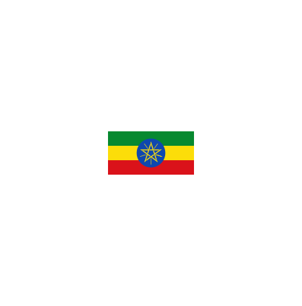 Etiopien Fasadflagga 